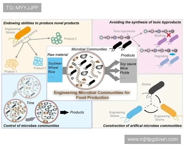 打光pg游戏在提升画面质量方面的关键技术研究与未来发展方向探讨